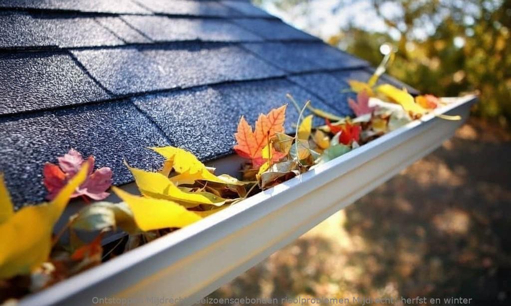 Seizoensgebonden rioolproblemen Mijdrecht: herfst en winter